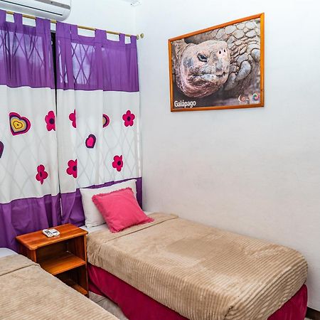 Tintorera Guest House 阿约拉港 外观 照片