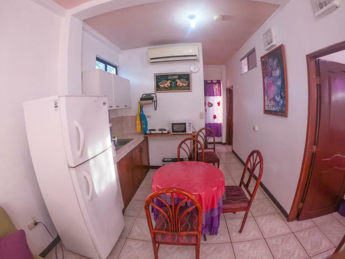 Tintorera Guest House 阿约拉港 外观 照片