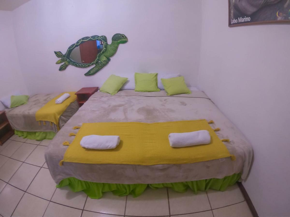 Tintorera Guest House 阿约拉港 外观 照片