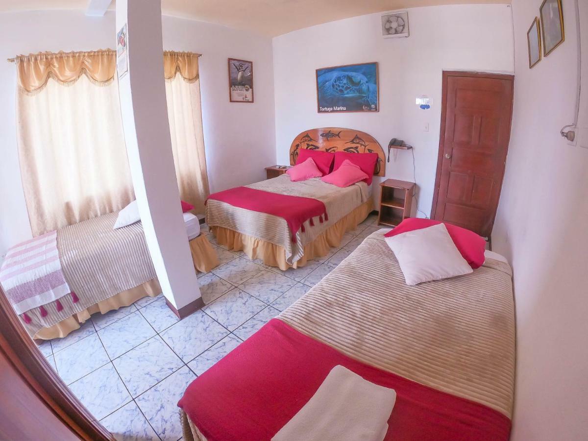 Tintorera Guest House 阿约拉港 外观 照片